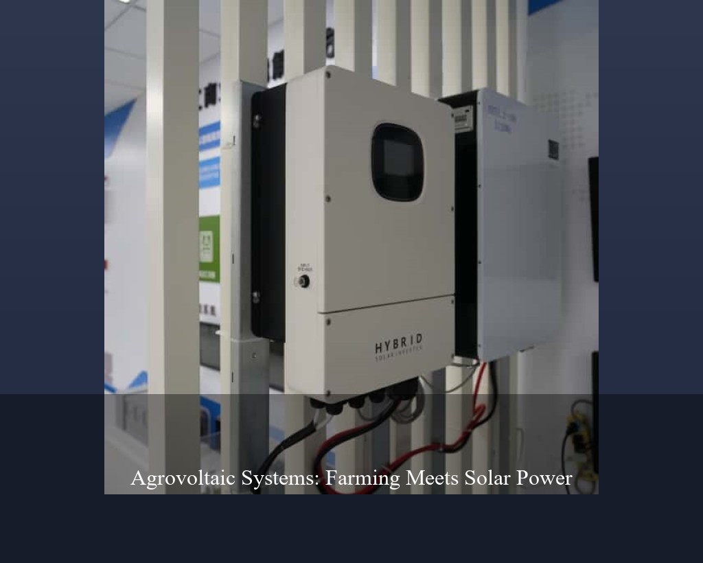 Agrovoltaic Systems: Farming Meets Solar Power